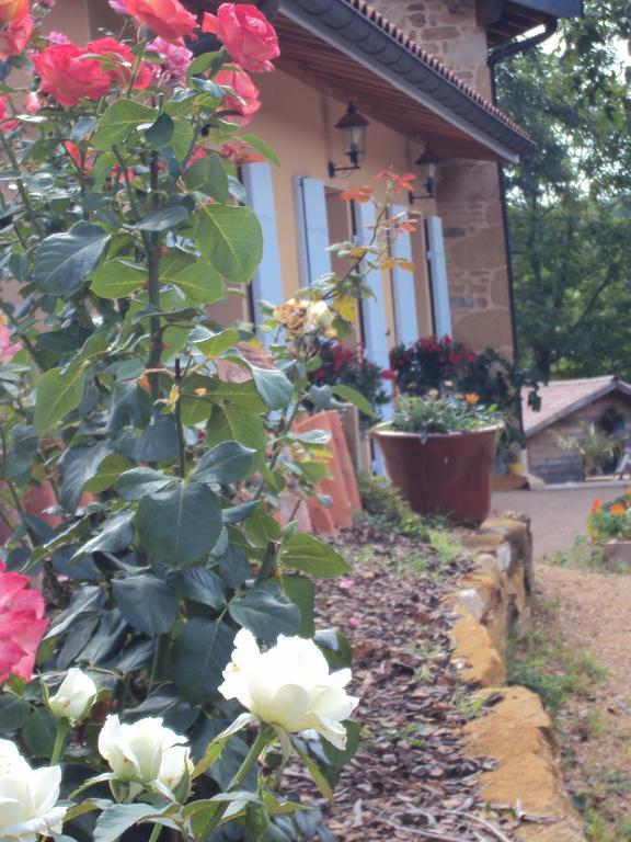 Maison D'Hotes Du Vert Vallon Theize Exterior foto